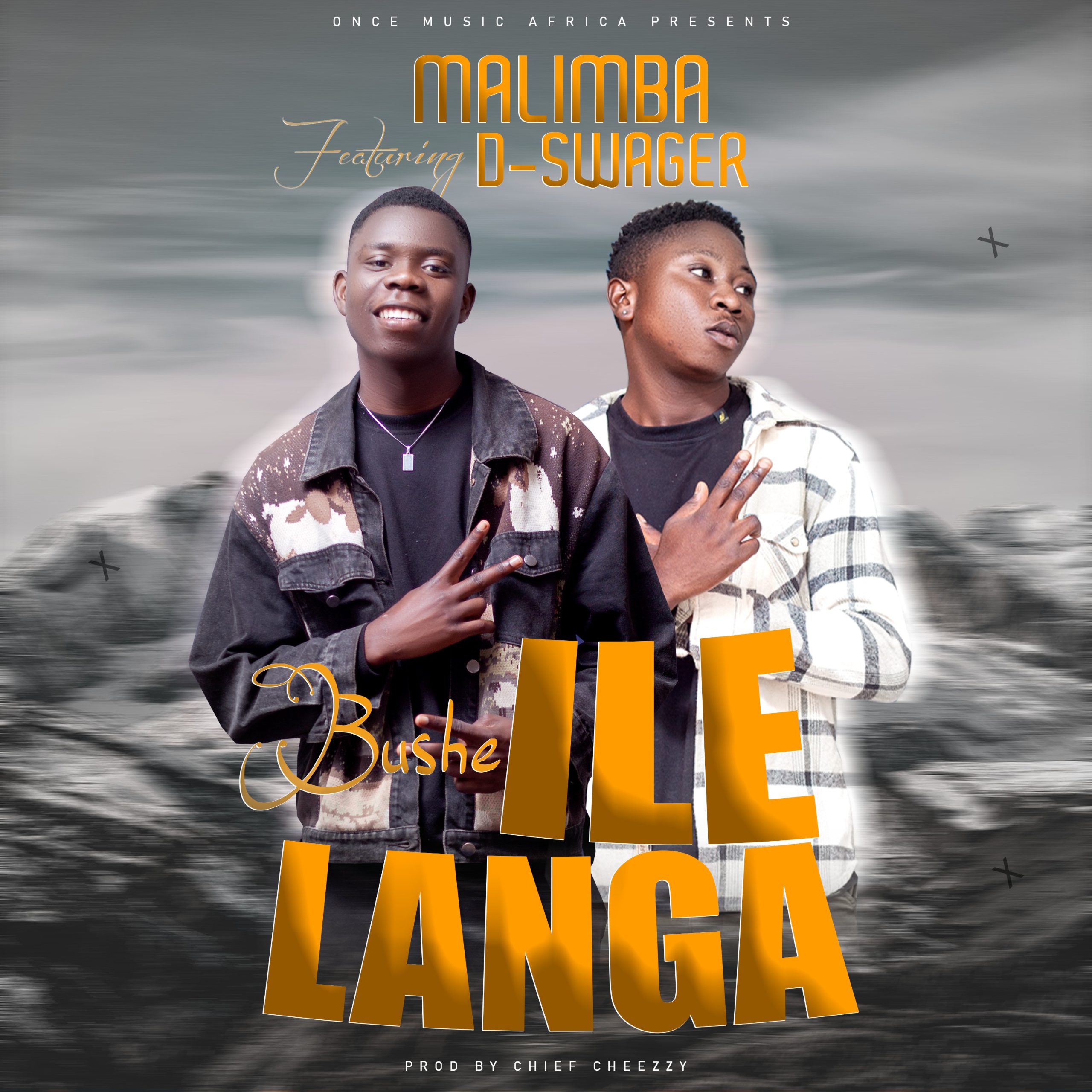 Malimba ft D-Swager – Bushe ilelanga
